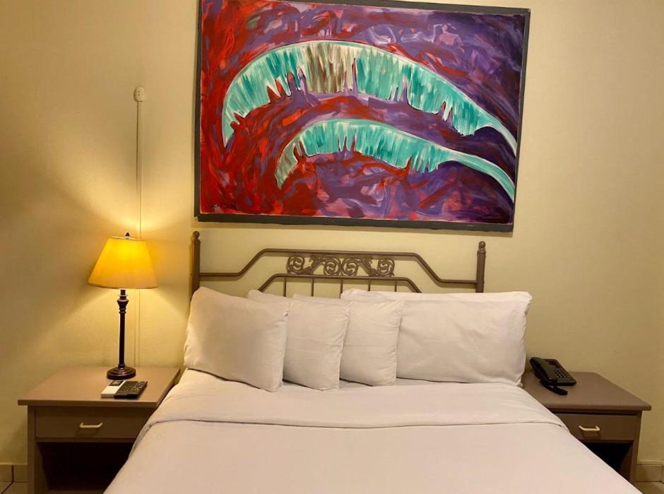 Morrison Hotel San Salvador Exteriér fotografie